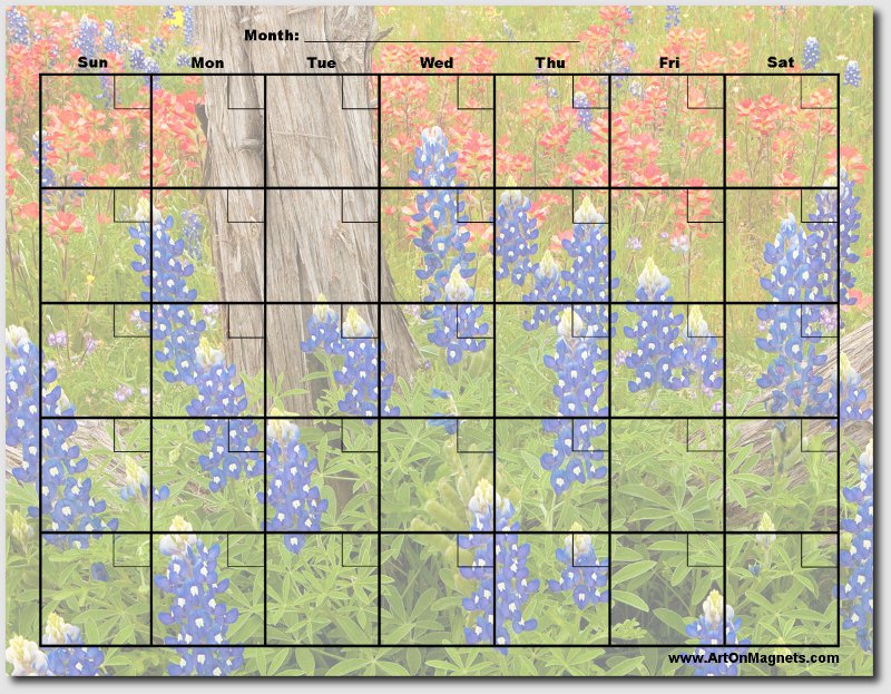 DEC-Bluebonnets